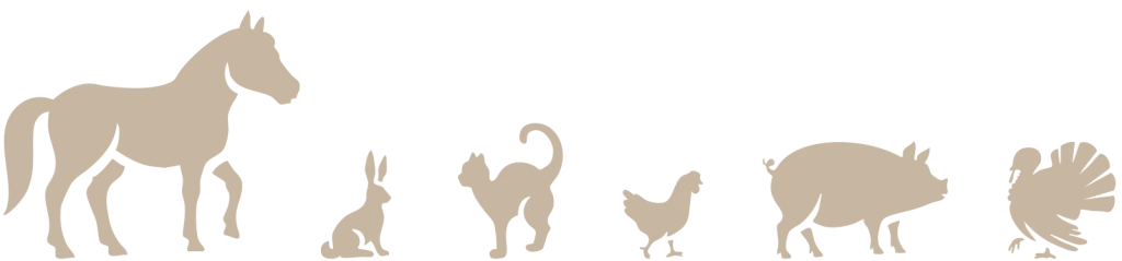 Row of horses, chickens, cats, dogs, and small animals showing all the pets and livestock that can use Energy Pellets of America bedding pellets.